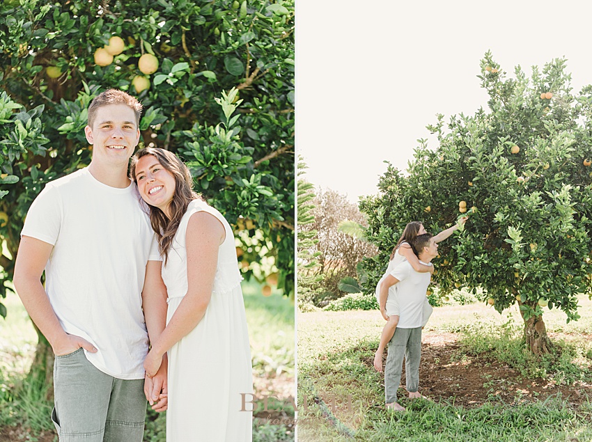 BEAUTI photography Big Island Hawaii orchard photo shoot engagement photo