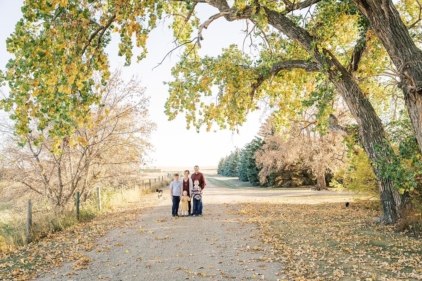 Jenelle Quigley Photography family lifestyle photo session Tribune Saskatchewan
