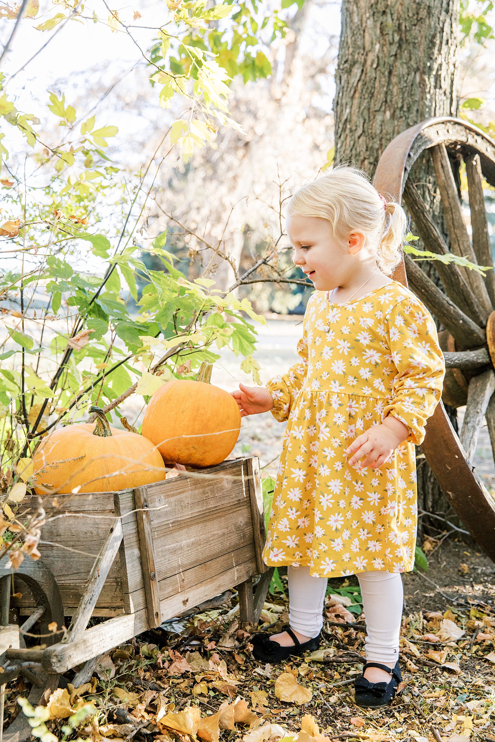 Jenelle Quigley Photography family lifestyle photographer Tribune Saskatchewan children portraits
