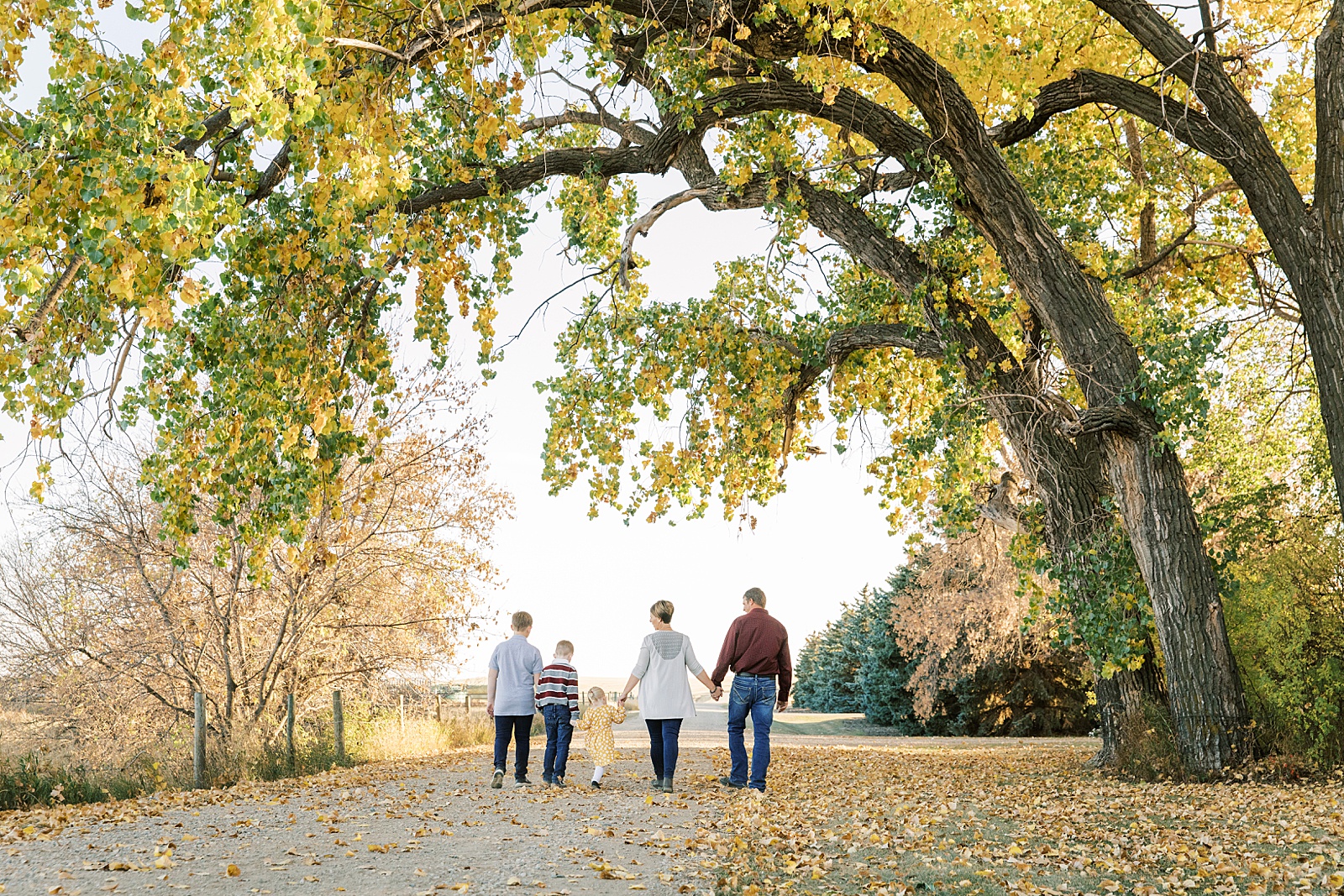 Jenelle Quigley Photography family lifestyle photo session Tribune Saskatchewan