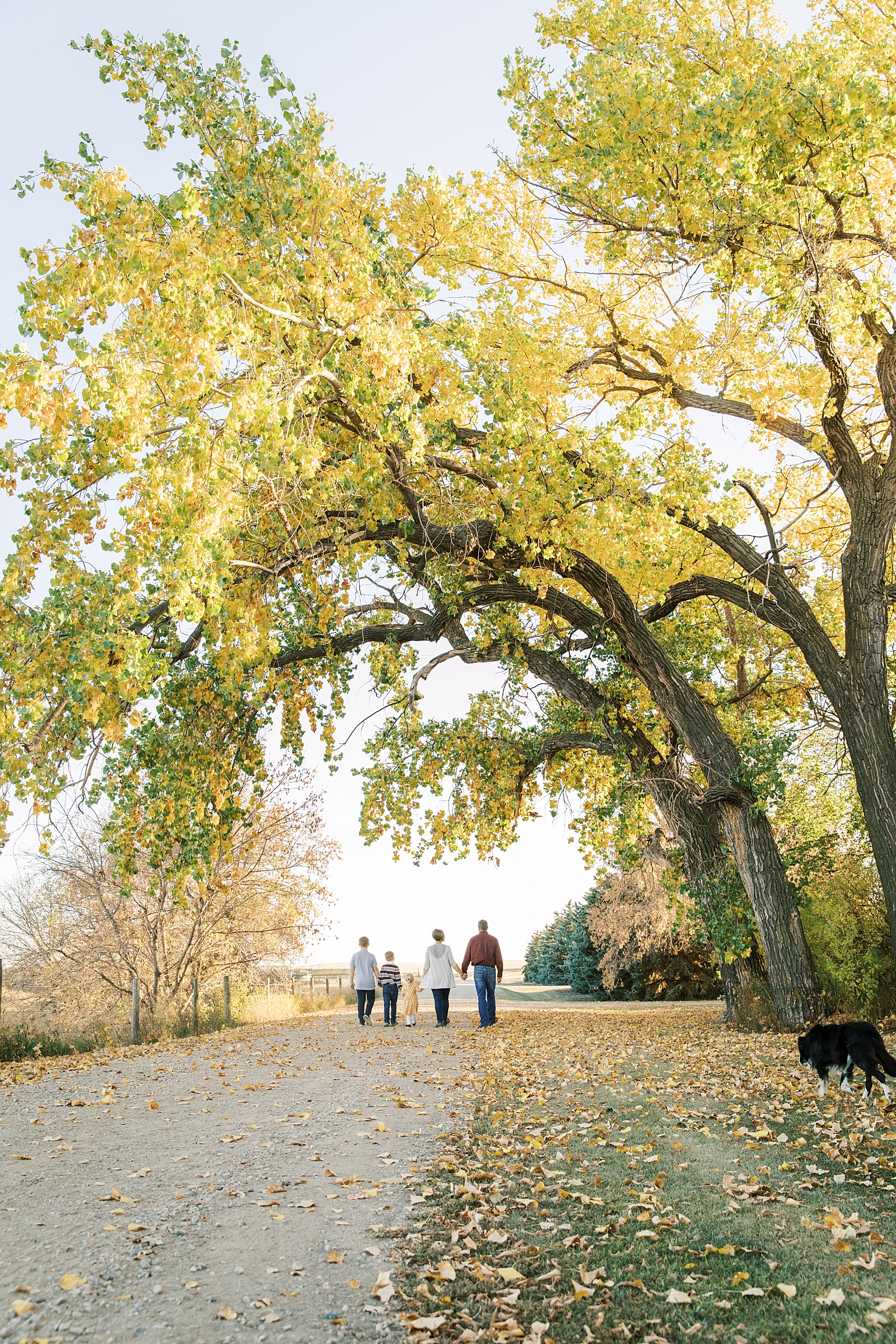 Jenelle Quigley Photography family lifestyle photo session Tribune Saskatchewan