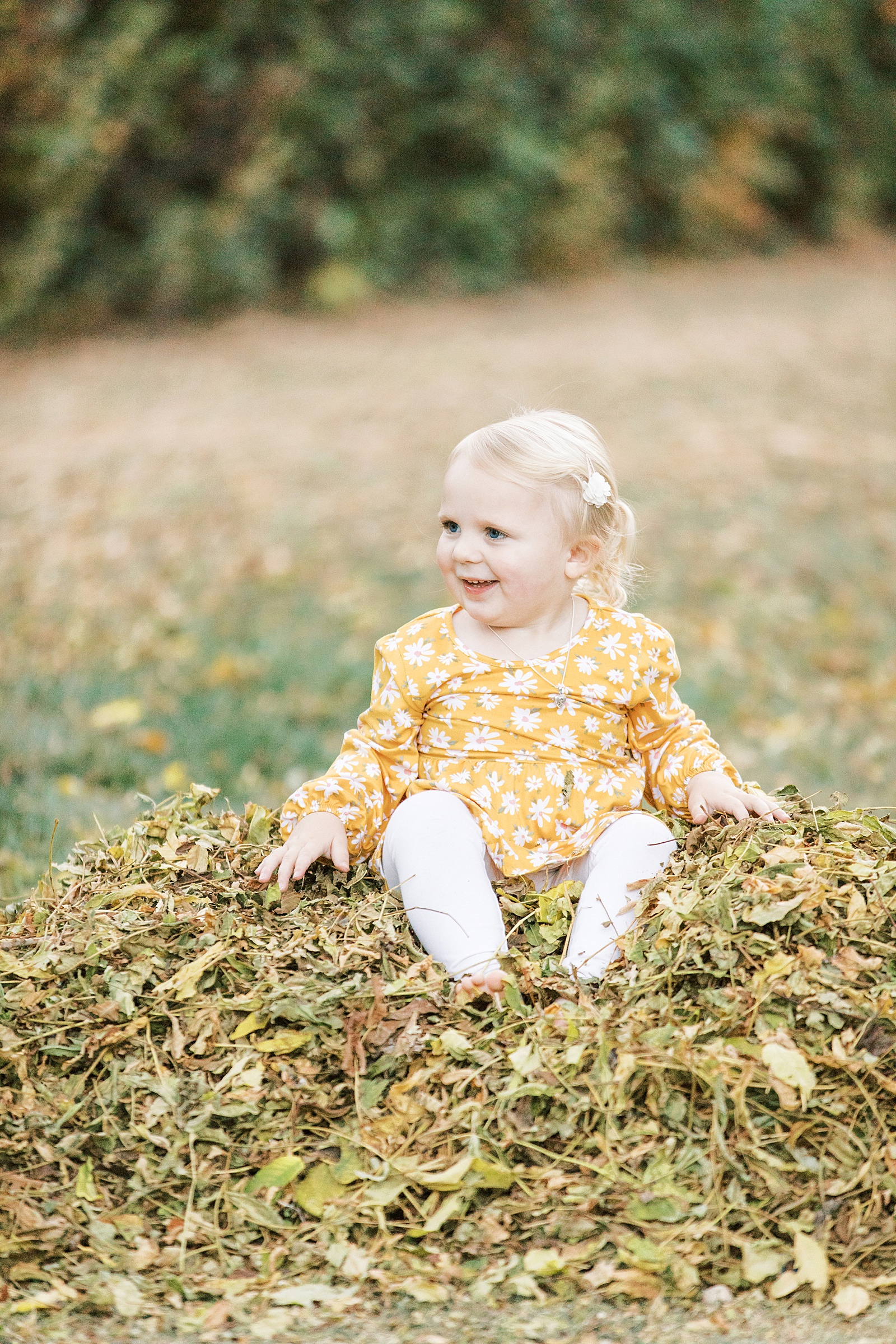 Jenelle Quigley Photography family lifestyle photographer Tribune Saskatchewan children portraits