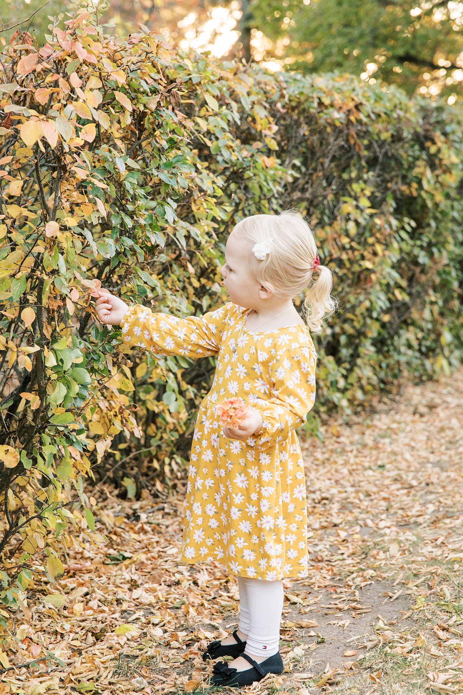 Jenelle Quigley Photography family lifestyle photographer Tribune Saskatchewan children portraits