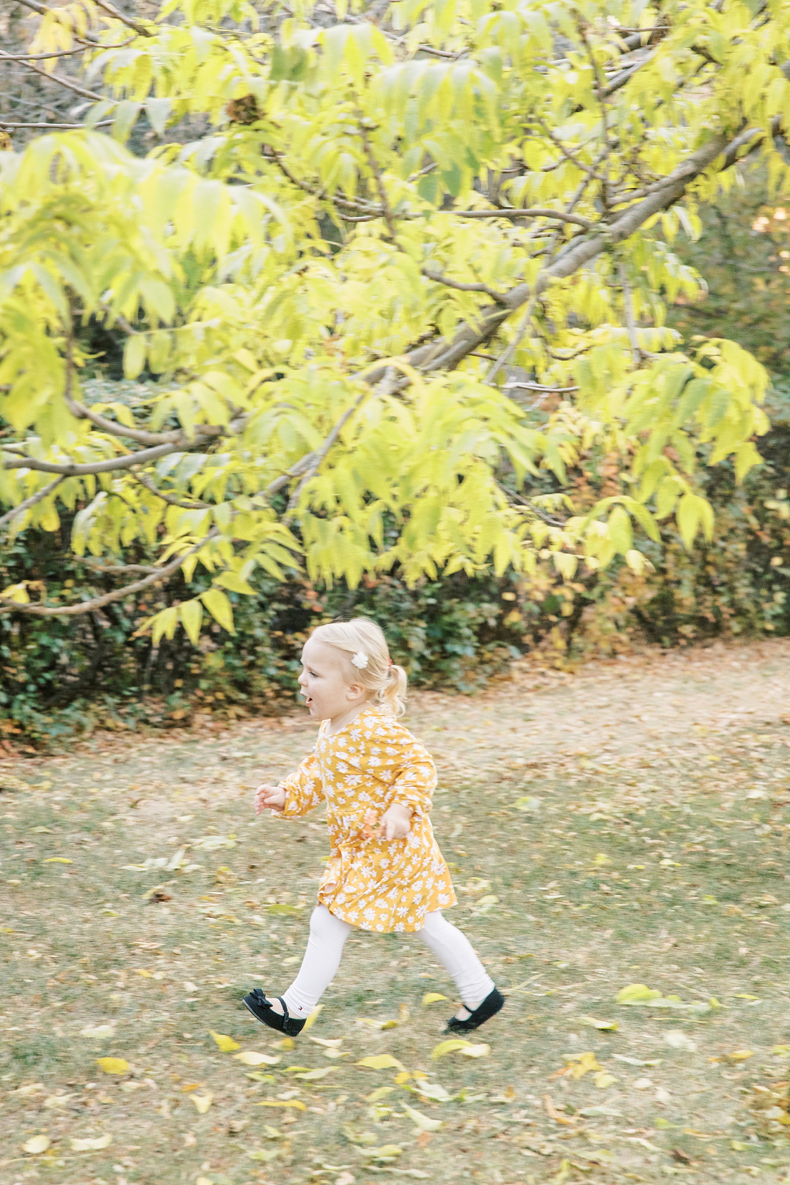 Jenelle Quigley Photography family lifestyle photographer Tribune Saskatchewan children portraits