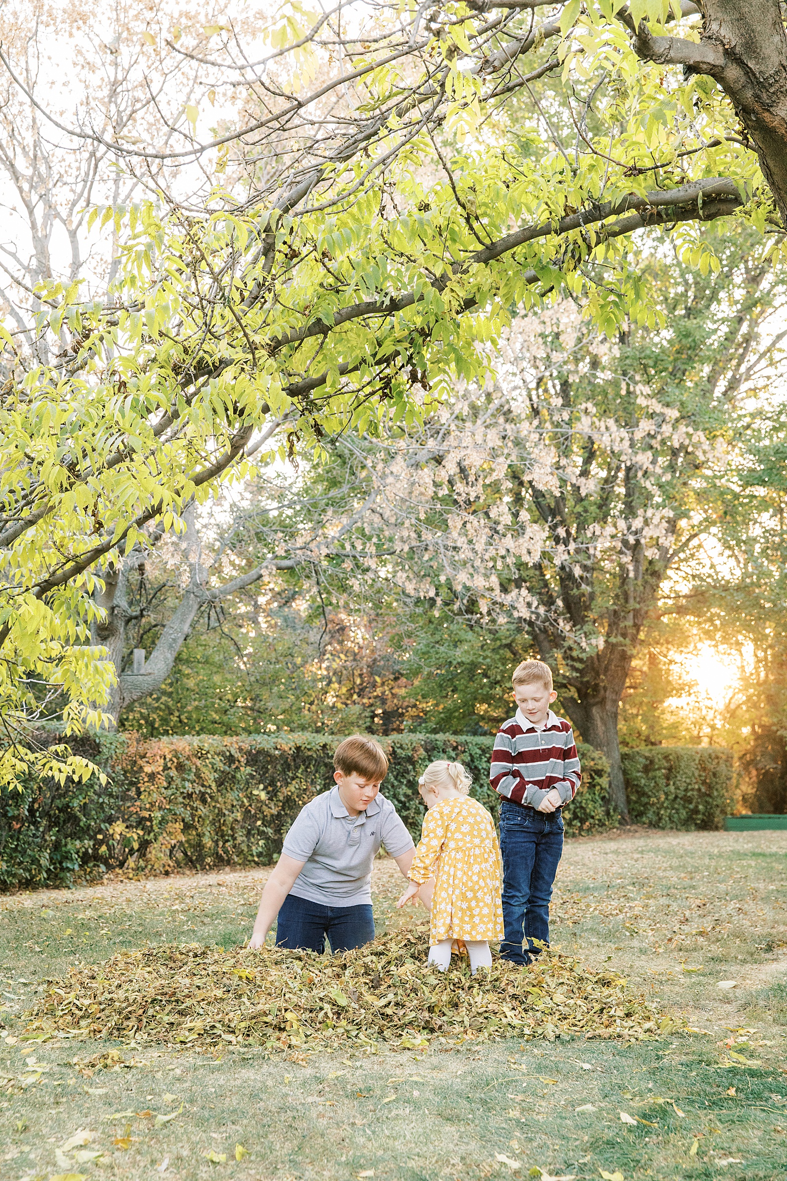 Jenelle Quigley Photography family lifestyle photographer Tribune Saskatchewan children portraits fall leaves siblings