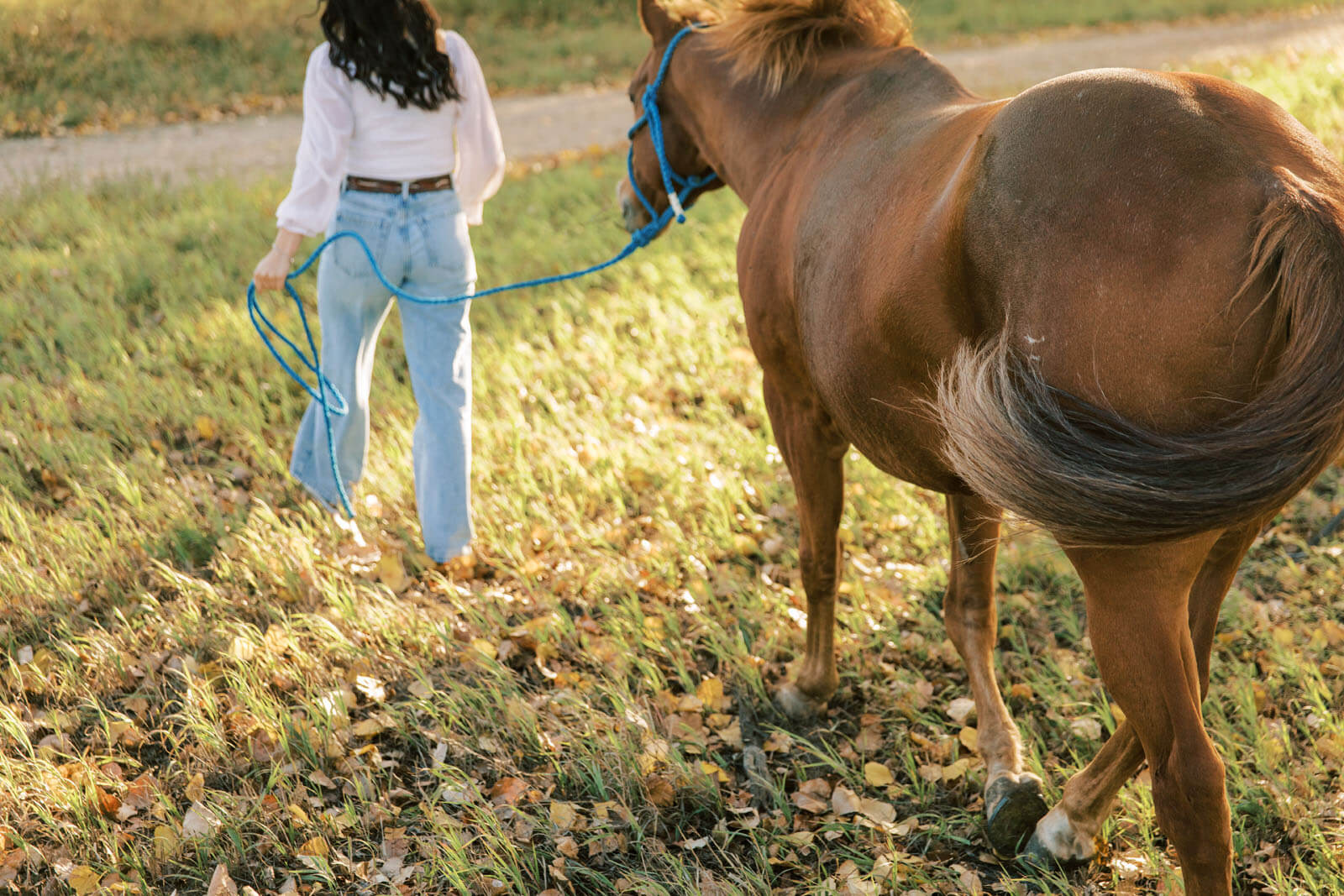 Jenelle Quigley Photography Saskatchewan lifestyle photographer fall grad casuals in Radville class of 2024 western theme rodeo horses