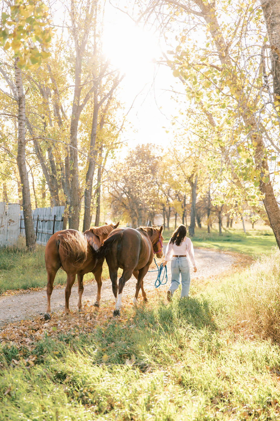 Jenelle Quigley Photography Saskatchewan lifestyle photographer fall grad casuals in Radville class of 2024 western theme rodeo horses