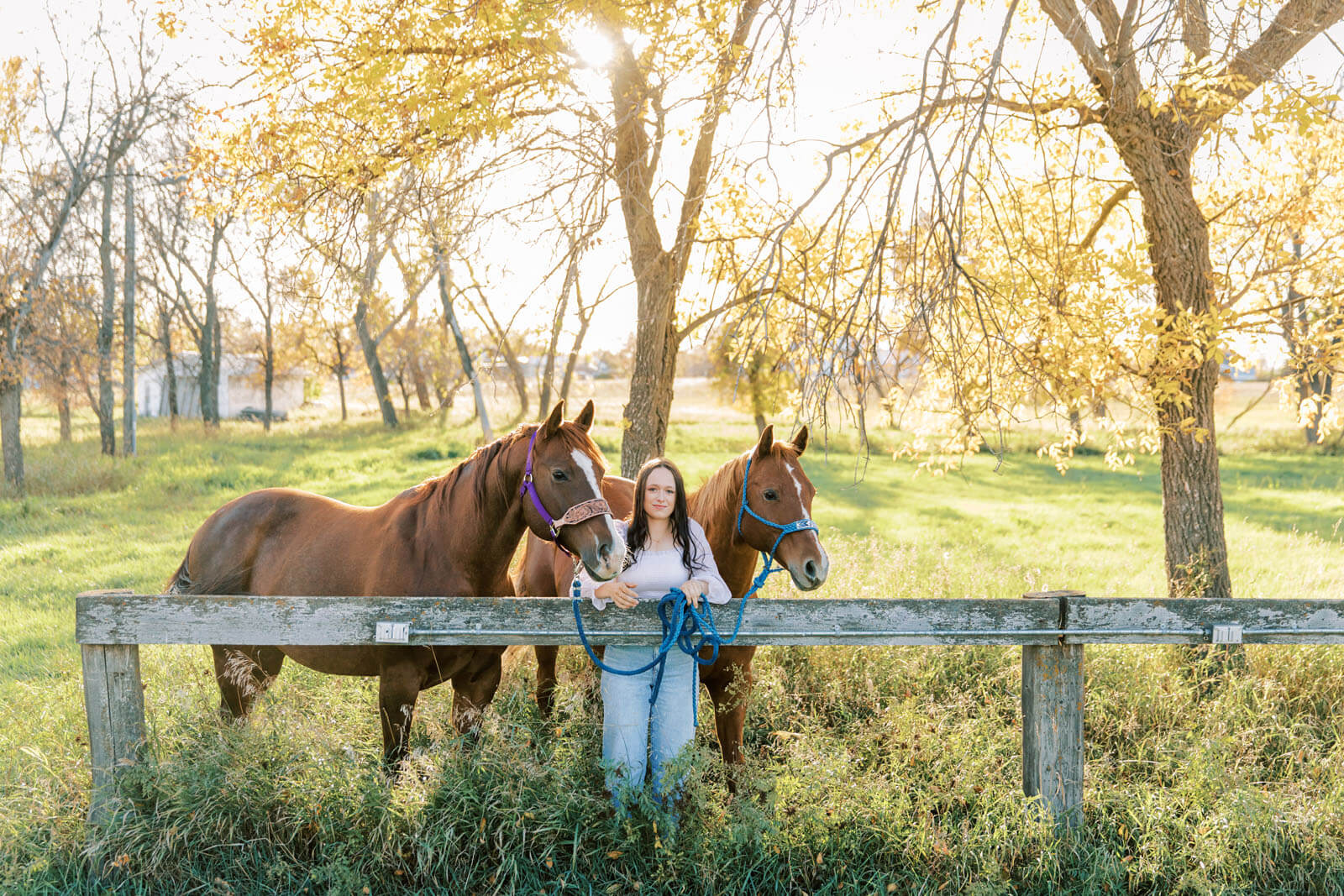 Jenelle Quigley Photography Saskatchewan lifestyle photographer fall sunset class of 2024 western theme rodeo horses