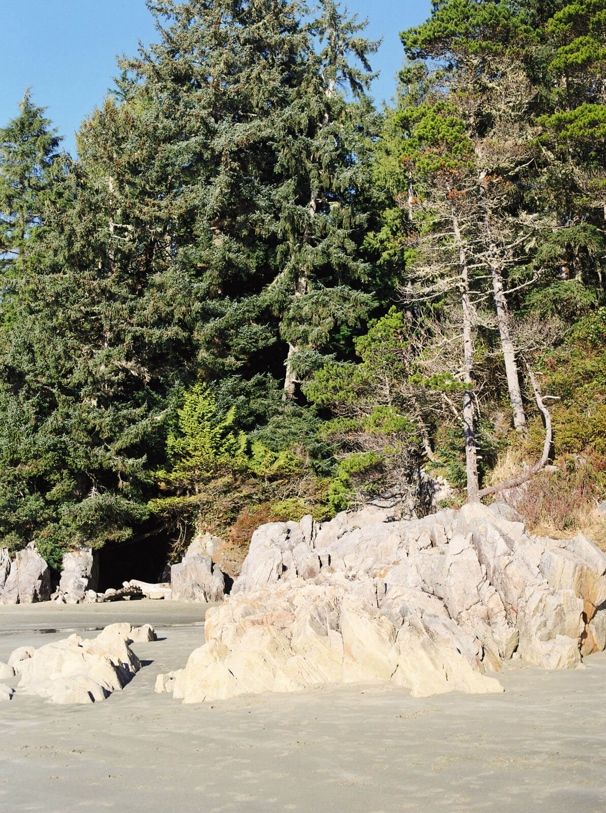 Jenelle Quigley Photography Vancouver Island travel photographer Tonquin Beach hike