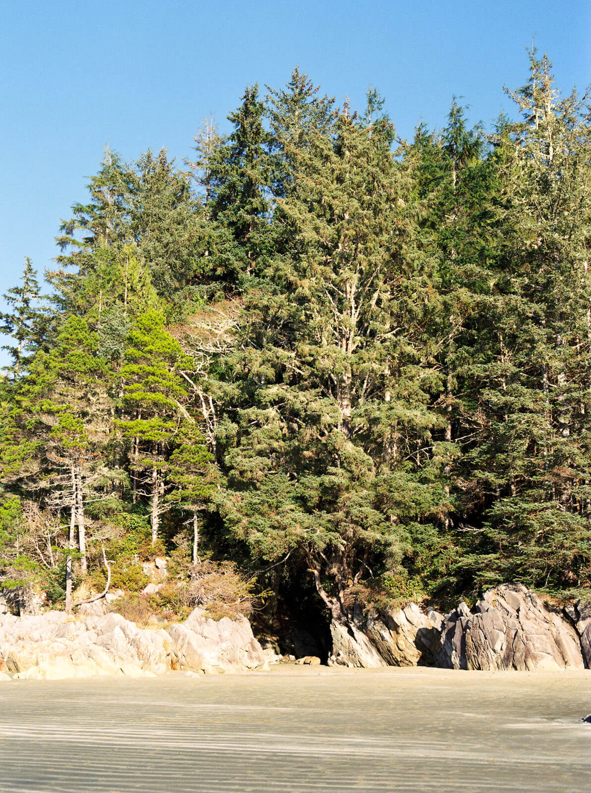 Jenelle Quigley Photography Vancouver Island travel photographer Tonquin Beach hike