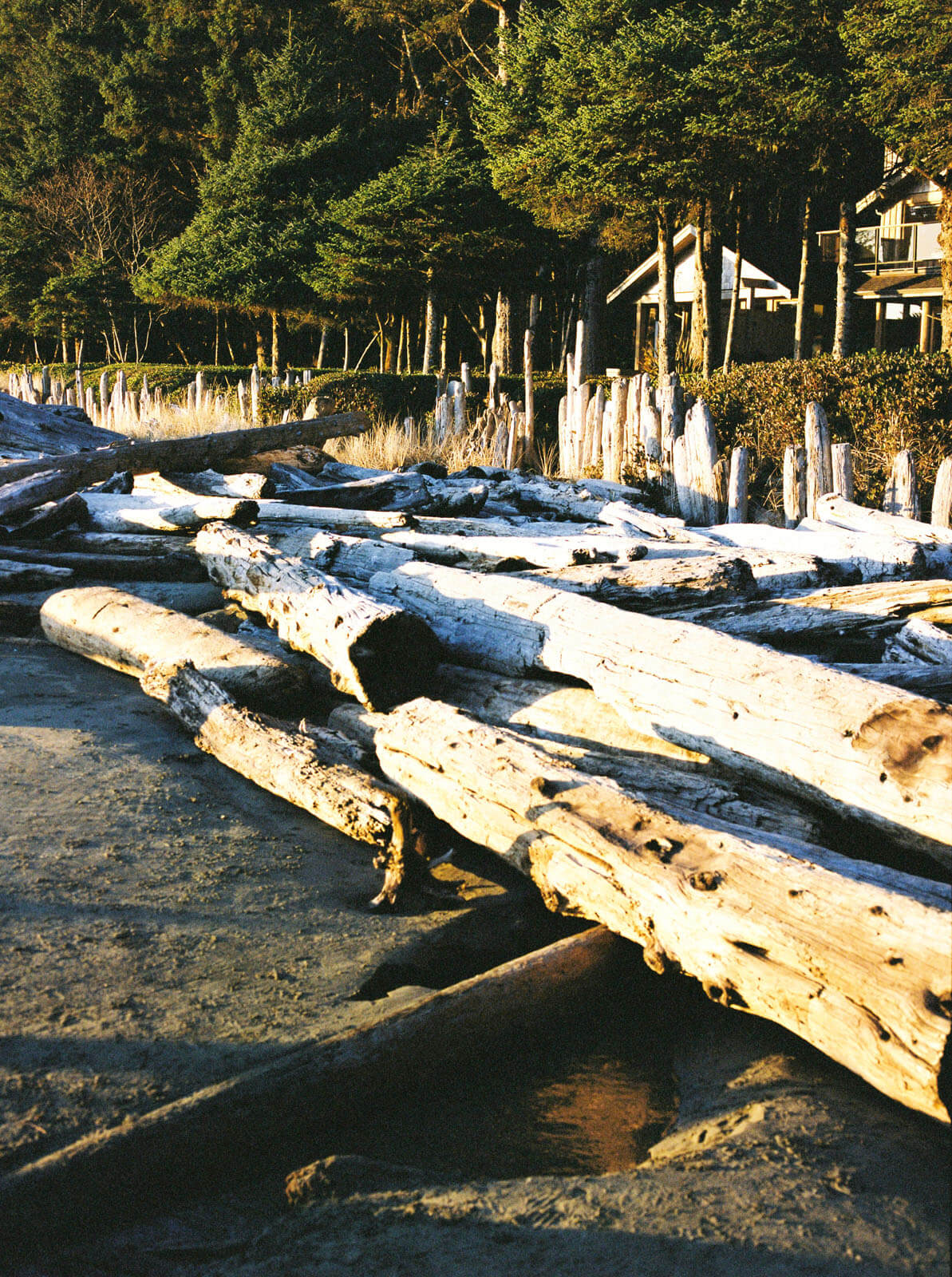 Jenelle Quigley Photography Vancouver Island travel photographer Chesterman Beach sunset Tofino on film