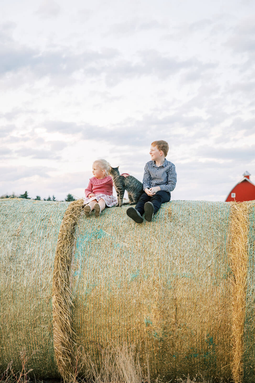 Jenelle Quigley Photography Weyburn Saskatchewan family lifestyle photographer autumn photo session siblings red barn cat